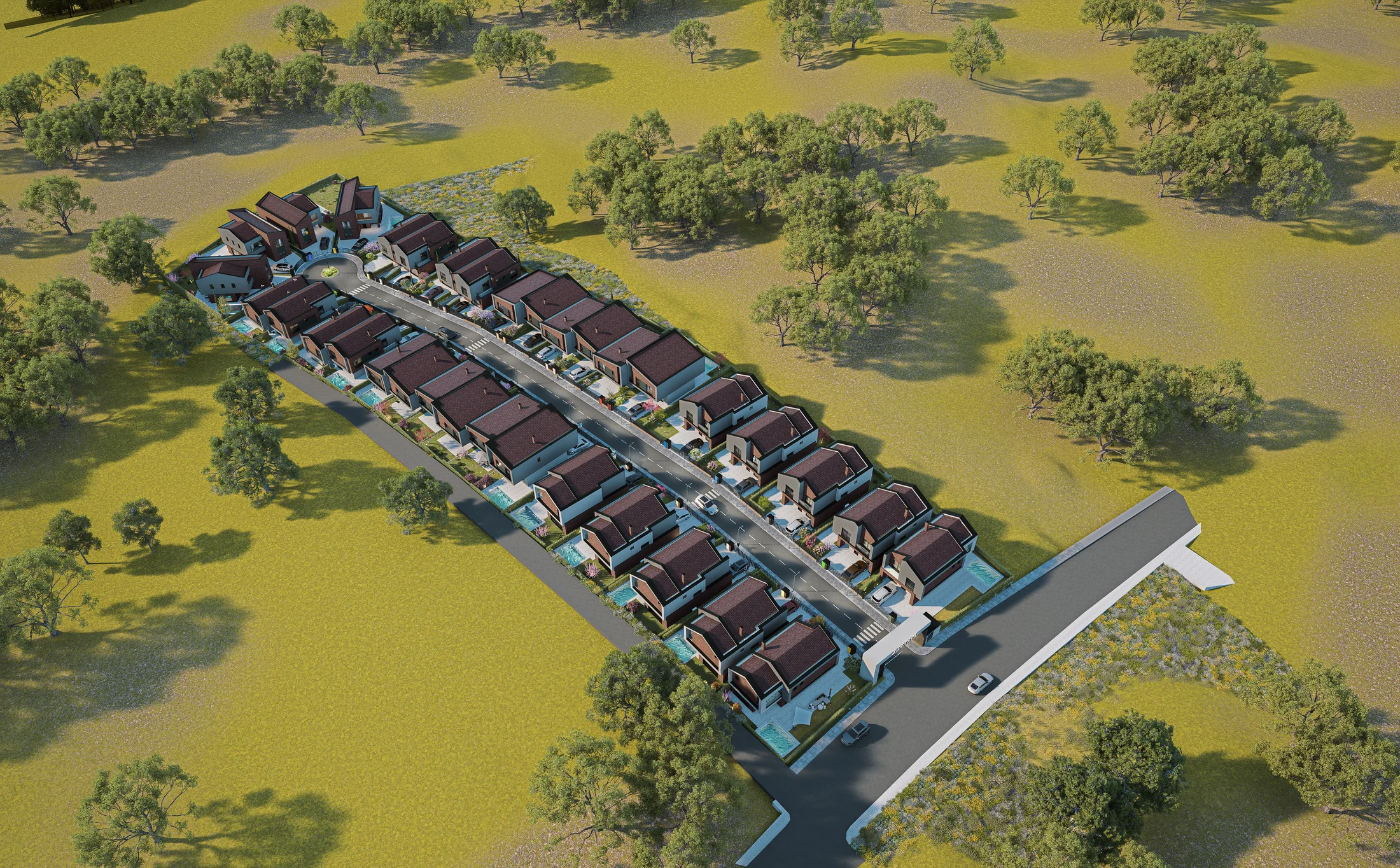 Lagjja Safari